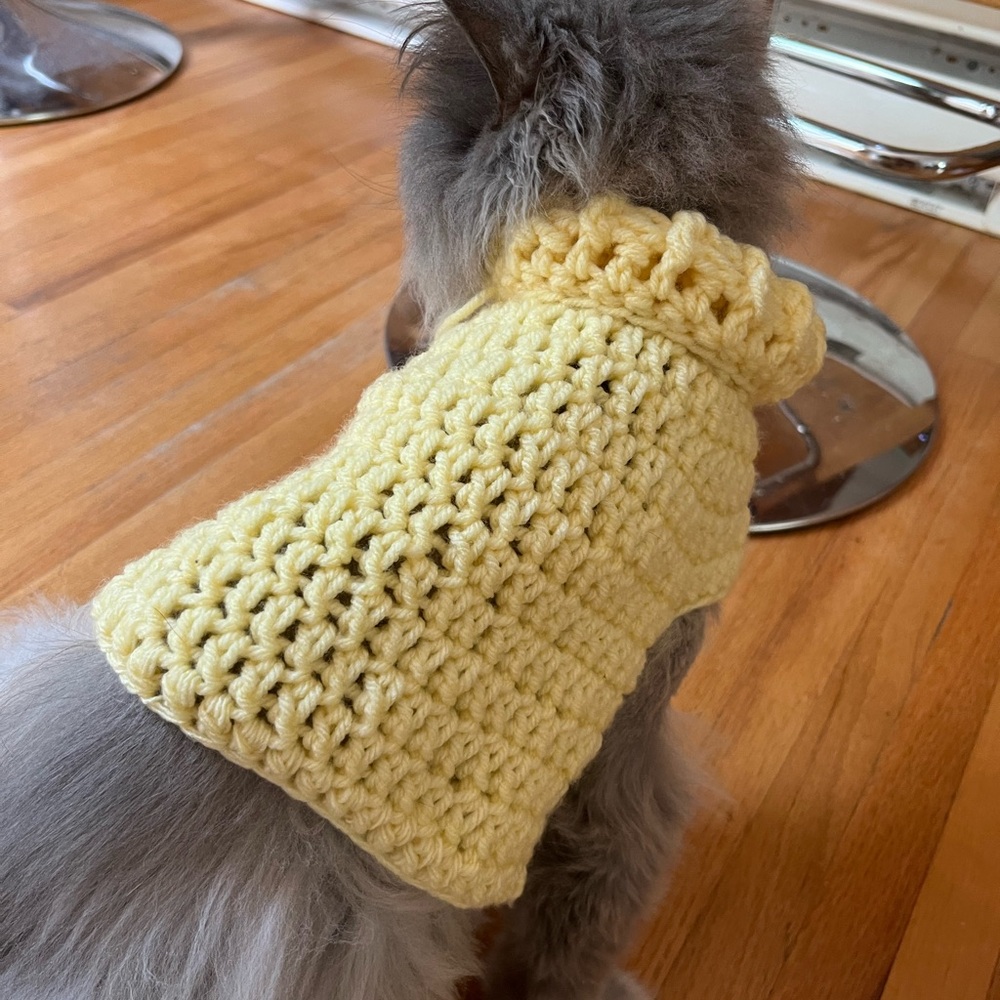 Yellow Crochet Pet Sweater